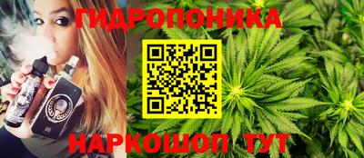 сатива Беслан