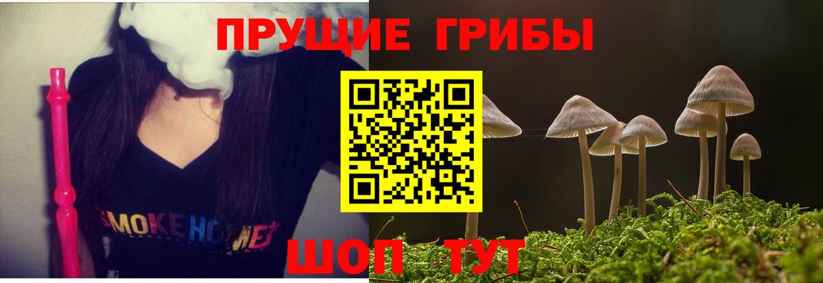 Горно-Алтайск  Псилоцибиновые грибы Magic Shrooms  Галлюциногенные грибы ЛСД  Вход с VPN 